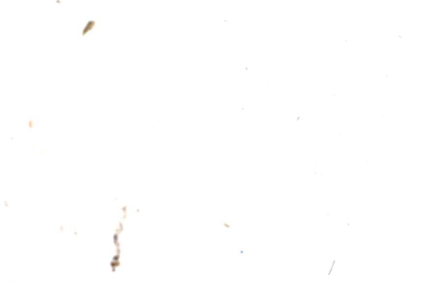 Image 74